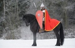 Этот день наши предки считали днем Воинской славы (Фото: Abramova Kseniya, Shutterstock)
