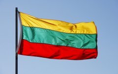 Литва празднует главный государственный праздник (Фото: Jonathan Larsen, Shutterstock)