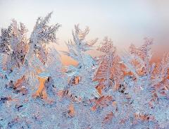 Студеный день — снова шубу надень (Фото: yxowert, Shutterstock)