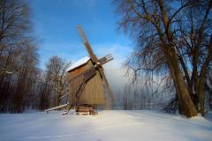 В день Луки было принято печь пироги (Фото: zahradales, Shutterstock)
