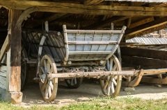 «Готовь сани летом, а телегу зимой» (Фото: Radu Bercan, Shutterstock)