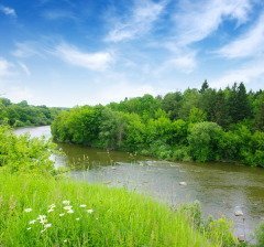 Международный день рек — в защиту больших и малых рек (Фото: irin-k, Shutterstock)