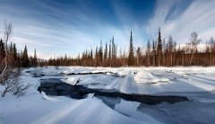 В это время активно ломается и тает лед (Фото: Korzhonov Daniil, Shutterstock)