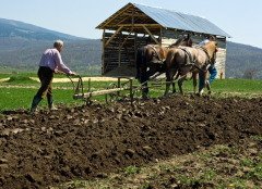 Этот день указывал важные приметы для пахоты (Фото: Emese, Shutterstock)