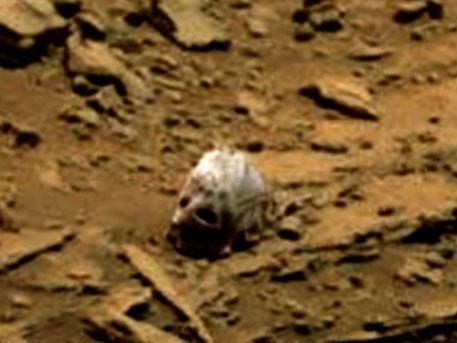 Череп таинственного пришельца нашли на Марсе