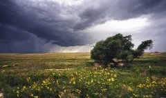 Стрибог — славянский бог ветра (Фото: Rudy Lopez Photography, Shutterstock)