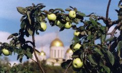 Великий праздник Преображения Господня называют еще Яблочным Спасом