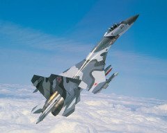 «Эти потери не восполнить»: Украина лишается своих «крылатых стражей» в зоне СВО