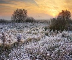 В это время приближение зимы становилось все более ощутимым (Фото: leonid_tit, Shutterstock)