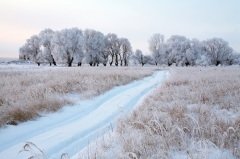 К этому времени окончательно устанавливалась зимняя санная дорога (Фото: vladimir salman, Shutterstock)