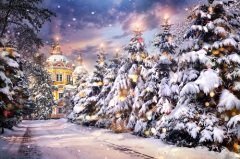 6 января — Рождественский сочельник, канун Рождества (Фото: Pikoso.kz, Shutterstock)