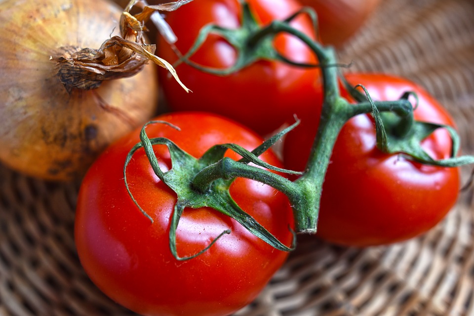 Внекорневая подкормка томатов: чем и когда подкармливать помидоры, чтобы получить хороший урожай и защитить плоды