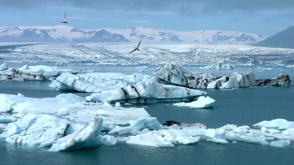 Лакомый кусок: США может напасть на Россию из-за Арктики