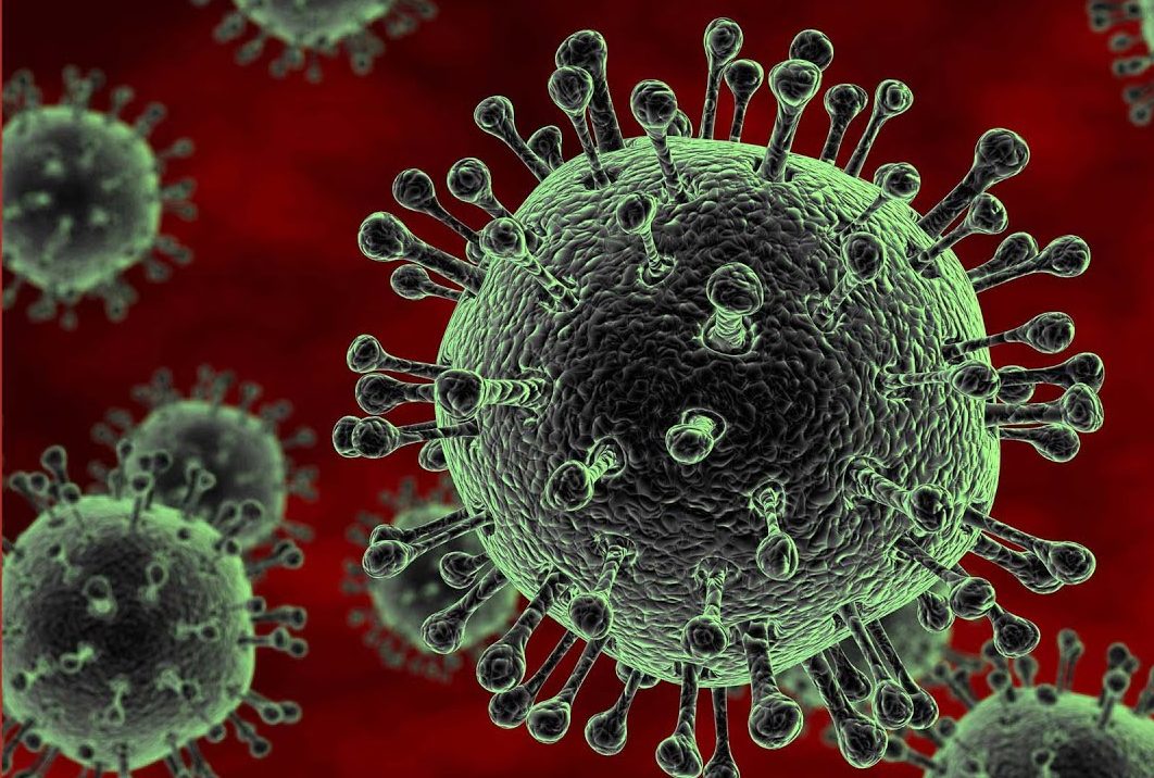 Лаборатория или природа? Учёные ответили на вопрос о происхождении нового коронавируса