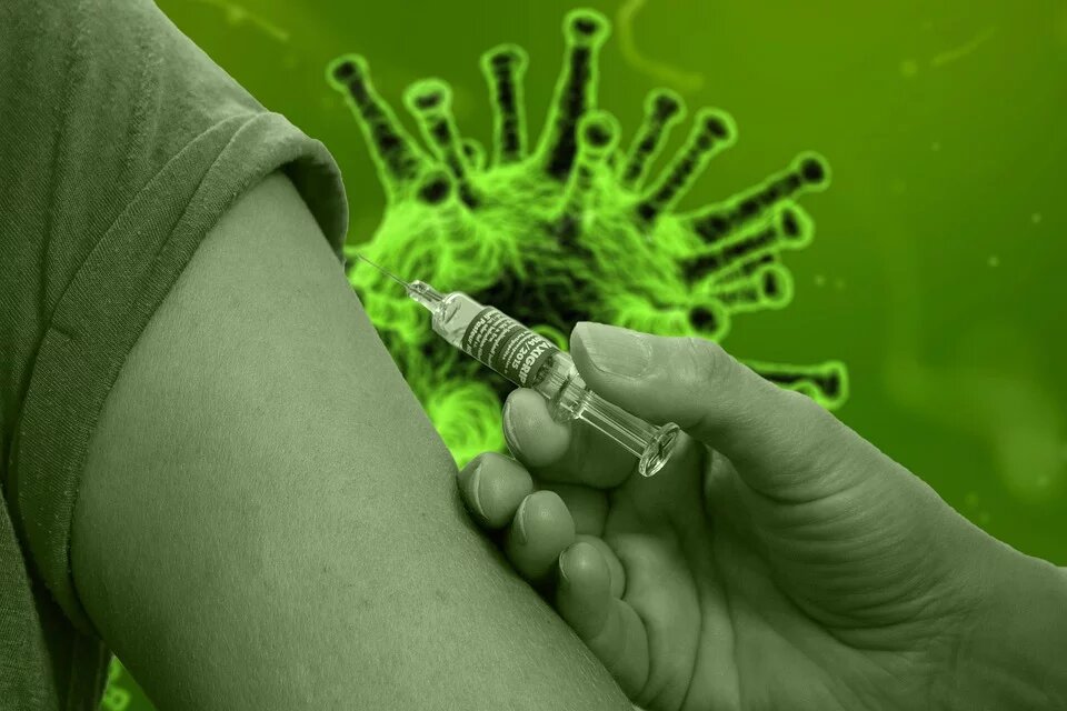 Последние новости Китая, сегодня 24 февраля 2020 — ВОЗ не нашли новых мутаций коронавируса в КНР, главное за день
