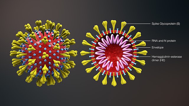 Последние новости о вирусе COVID-19, сегодня 31 марта 2020 — Инфекционист из США предсказывает вторую волну коронавируса осенью, главное за день