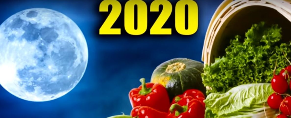 Благоприятные дни для посева овощей в апреле 2020 года по лунному календарю, секреты выращивания рассады