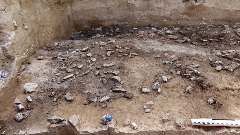 Под Воронежем обнаружили древнейшее поселение современного человека в Восточной Европе