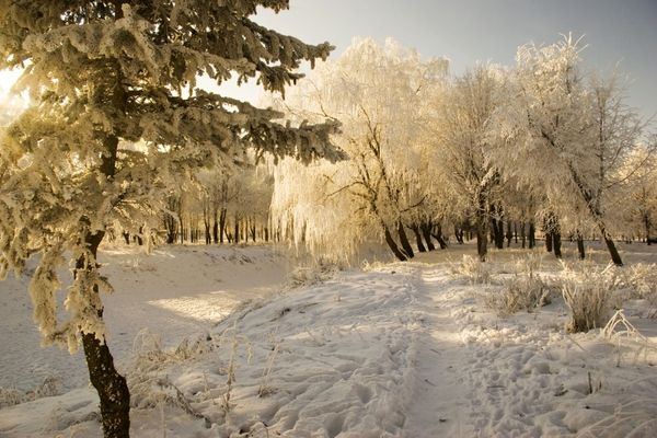 Какой церковный праздник сегодня, 13 февраля 2022 года, чтят православные христиане во всем мире