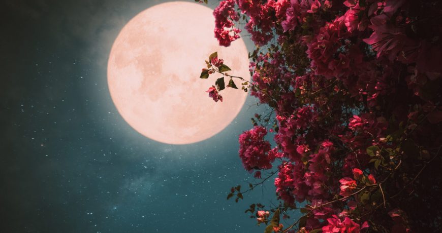 Опасно ли Цветочное полнолуние в полное лунное затмение 16 мая 2022 года, что категорически запрещено делать в этот день
