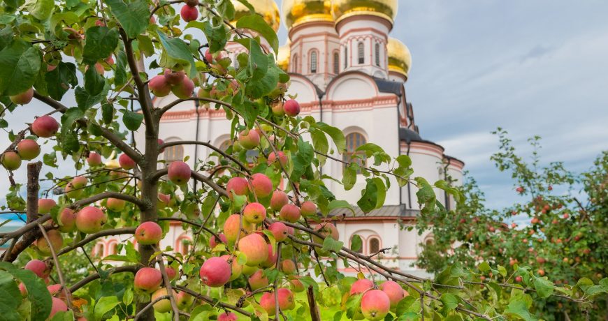 В какие числа мая и июня 2022 года строго запрещено работать в огороде и дома, история церковных праздников вкратце