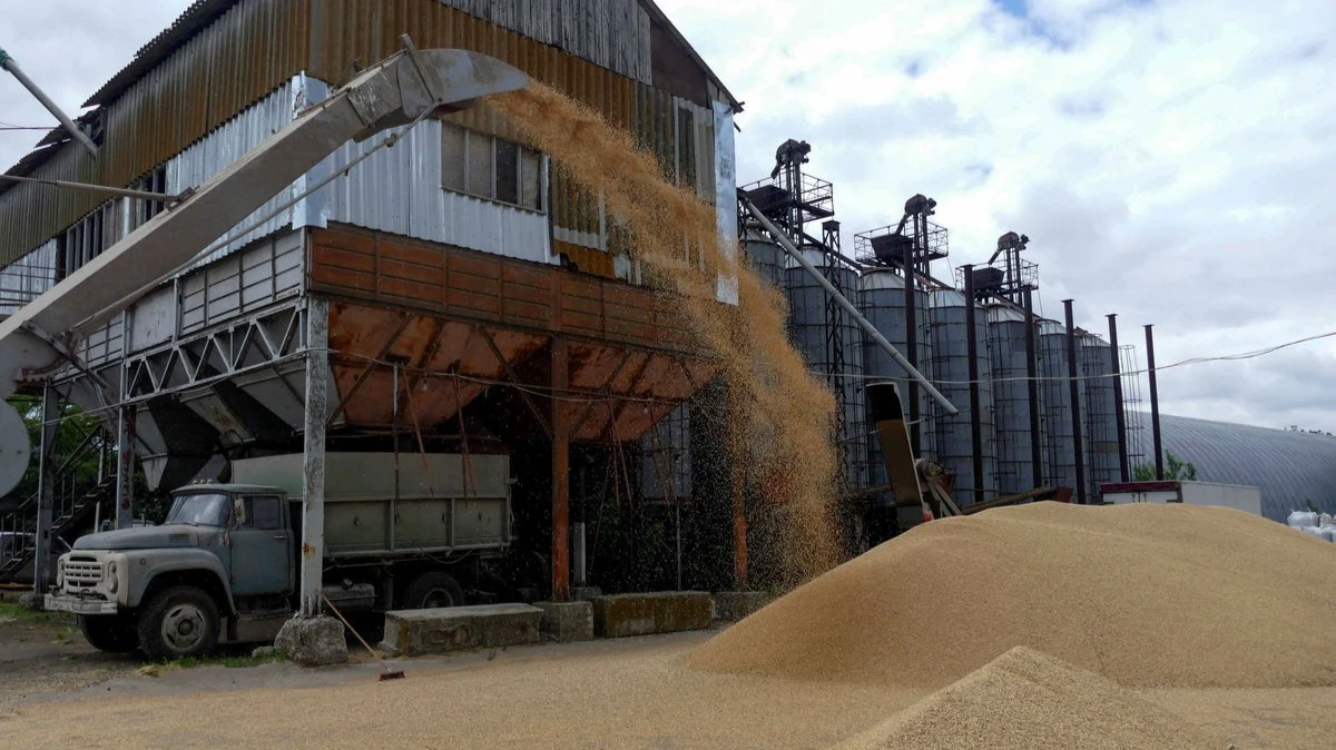 Евросоюз намерен ввести ограничения на импорт зерна из России и Белоруссии