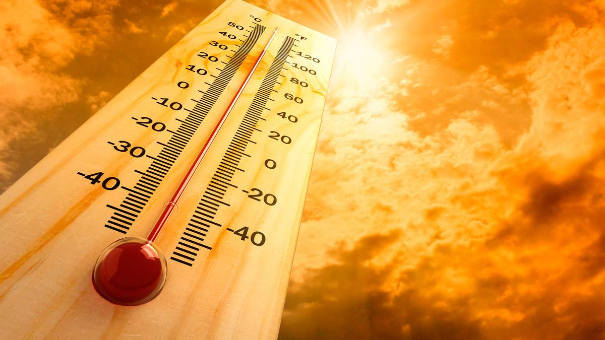 В 2024 году климатологи ожидают рекордную жару во всем мире