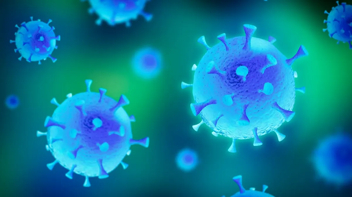 Роспотребнадзор сообщил, что новый вариант коронавируса «пирола» более заразен, чем встречавшиеся ранее его виды