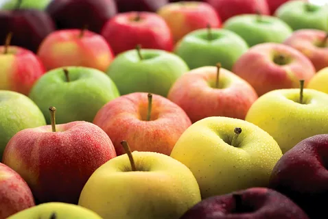«Магнит» намерен ориентироваться на отечественных производителей и предоставлять своим клиентам исключительно местные яблоки