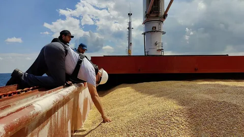 Российское зерно пойдет в бедные страны и без Украины — Россия и Турция ведут обсуждения о возможности создания альтернативной зерновой сделки