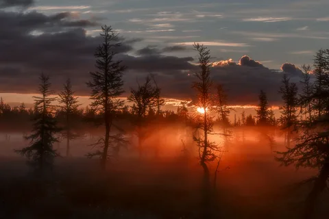 Сегодня 25.09.2023 православная церковь вспоминает и молится за священномученика Автонома, принявшего смерть за христианскую веру и народный праздник Артамон Змеевик: приметы, традиции, поверья, запреты и дела в этот день